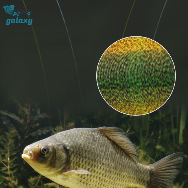 Galaxy 500m Dây Câu Cá Ba Màu 0.14mm-0.50mm (4.13lb-34.32lb)