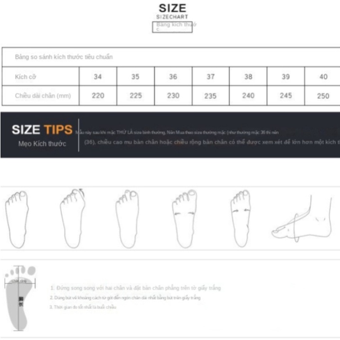 Giày cao gót mũi nhọn Đính Đá thời trang cho nữ giày mary jane cao gót