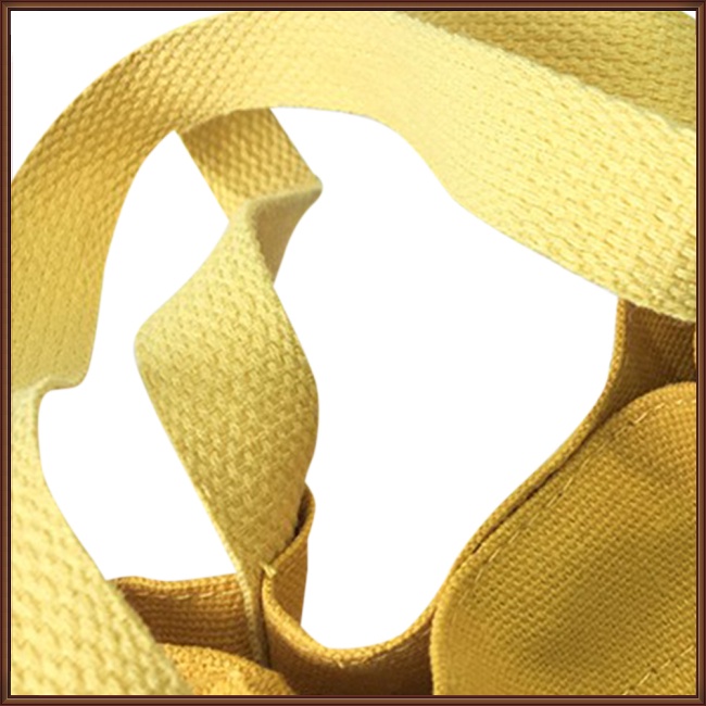 Túi Đeo Vai Bằng Vải Canvas Thiết Kế Nhỏ Gọn Thời Trang