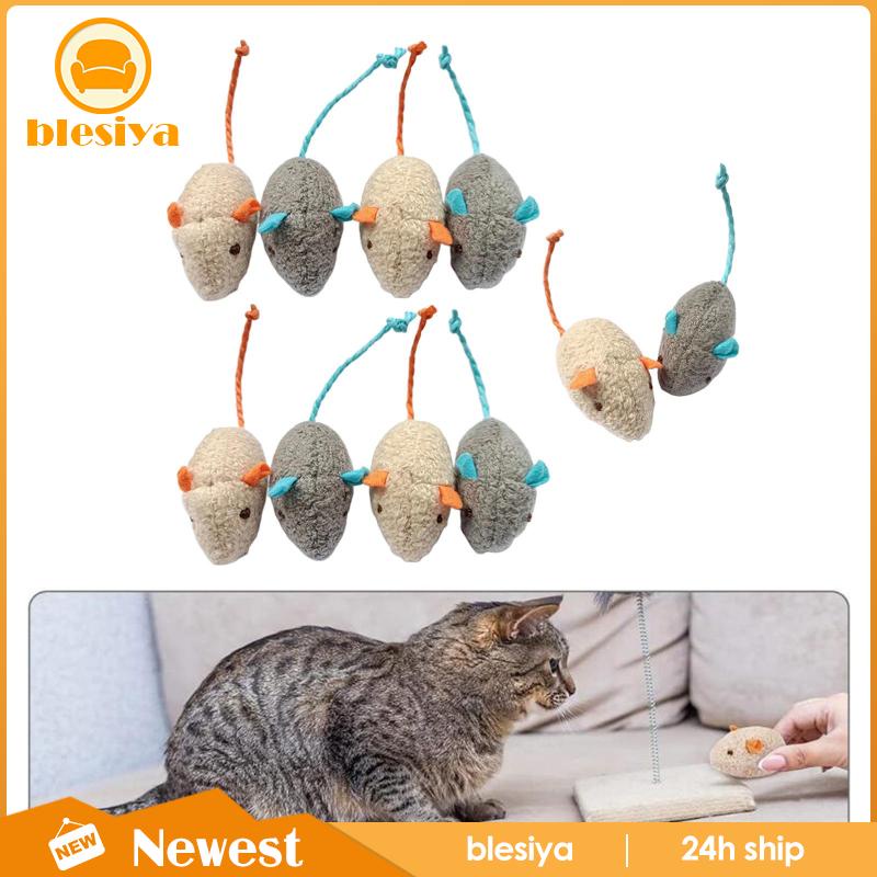 [Blesiya] Set 10 Đồ Chơi Nhai Gặm Catnip Sống Động Như Thật Dành Cho Mèo Cưng