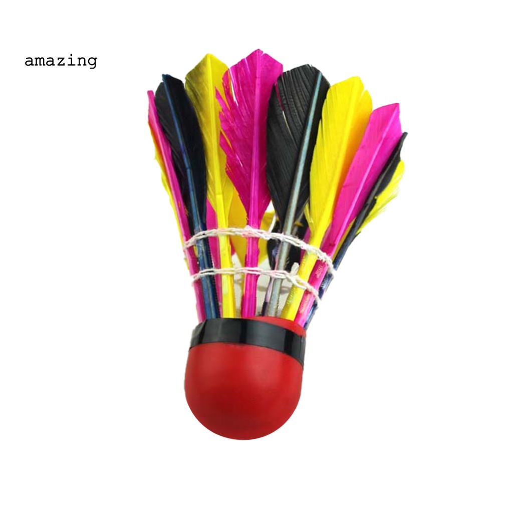 Set 11 Trái Cầu Lông Trọng Lượng Nhẹ Cho Các Hoạt Động Thể Thao Ngoài Trời