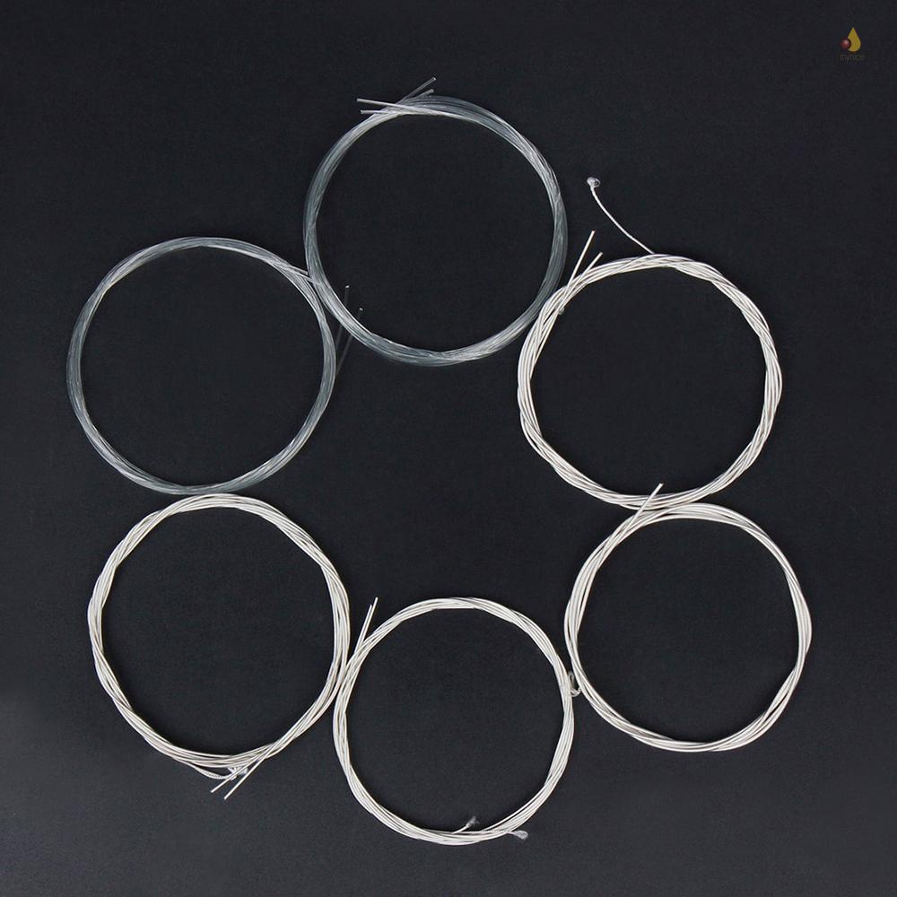 Bộ Dây Đàn Oud (G-D-A-E-B-F) 11 Dây Nylon Trong Suốt Mạ Đồng Bạc