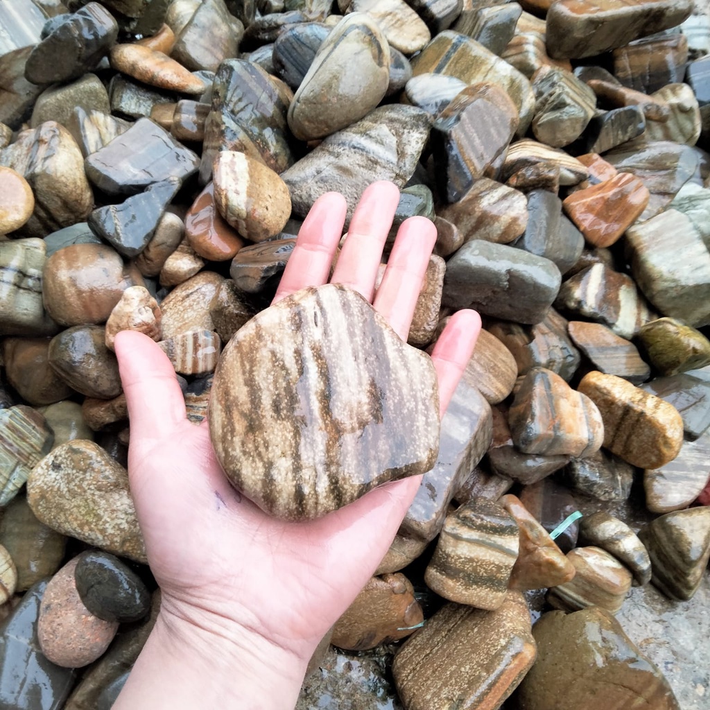 Đá Cuội Vân Mây Siêu Đẹp Nhiều Màu Trang Trí Hồ Cá Tép , Thuỷ Sinh, Sen Đá, Sân Vườn/ Chậu Cây, DYI, Terrarium