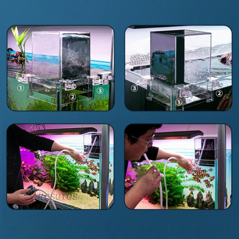 Bể Cá Áp Suất Âm Acrylic Trong Suốt Kesoto2 [Kesoto2] Cho Bể Cá Sơ Sinh