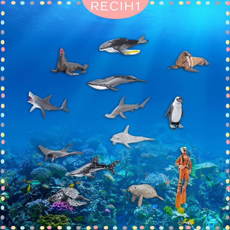 Set 13 Mô Hình Động Vật Dưới Biển Cho Bể Cá 5 6 7 8 Tuổi