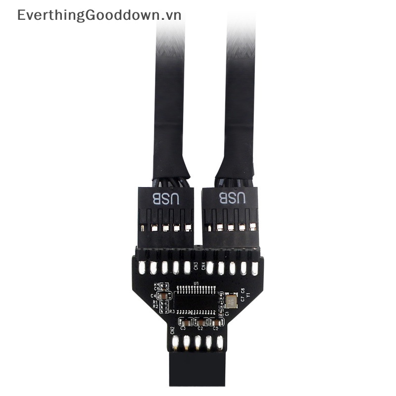 Everthingood Cáp Nối Bo Mạch Chủ Chuyển Đổi USB 2.0 1 Sang 2 Cổng 9 Pin