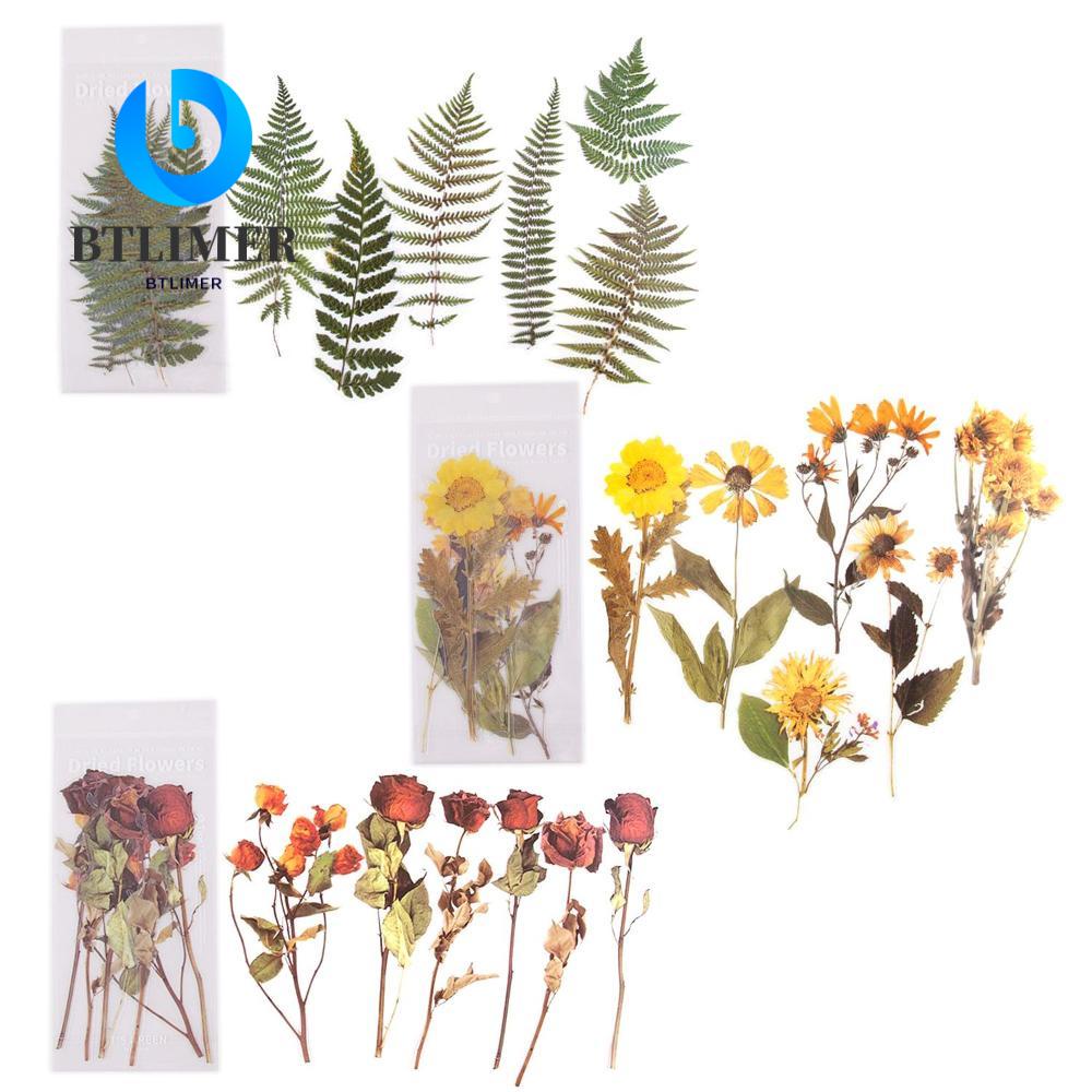 Btlimer Cánh Hoa Dán Đẹp|Phụ Kiện Trang Trí Sổ Tay Xinh Xắn Chất Lượng