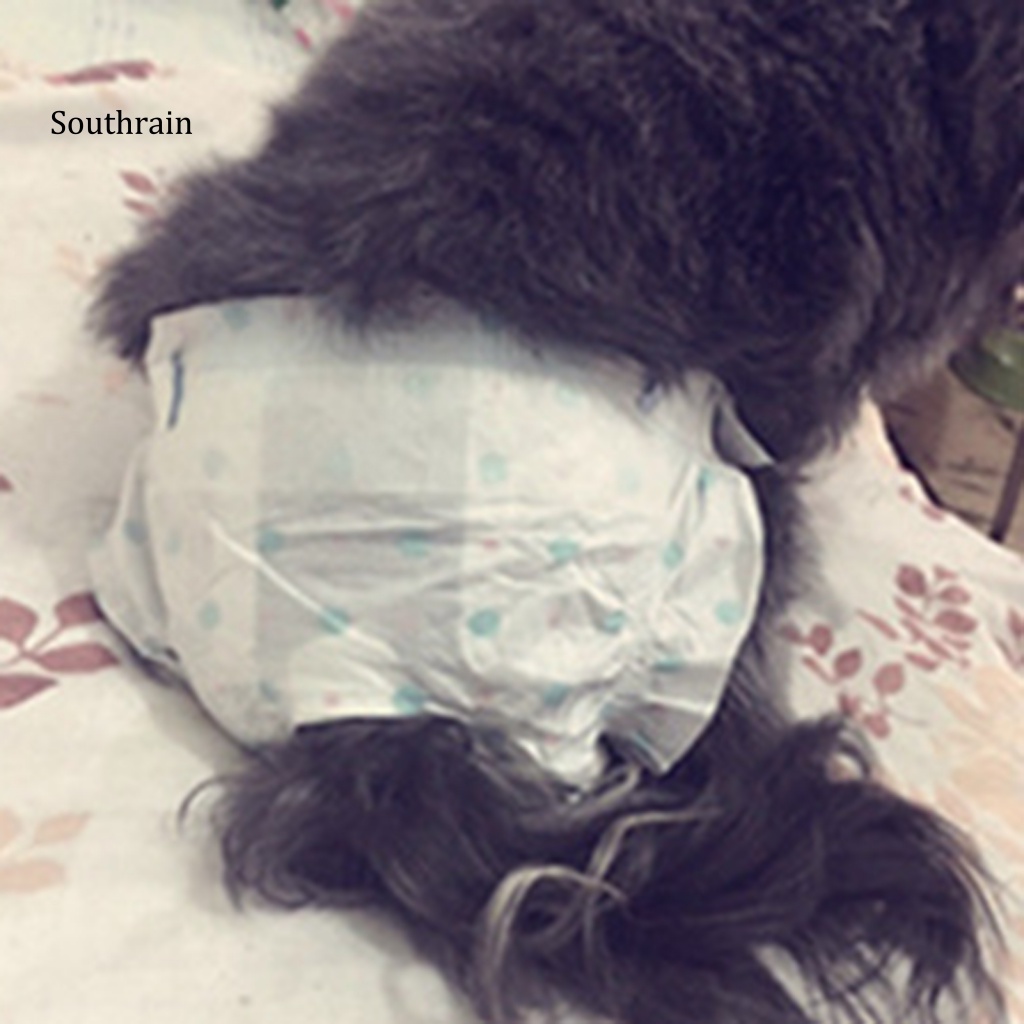 Set 10 Tã Vệ Sinh Bằng Bột Gỗ Dùng Một Lần An Toàn Cho Thú Cưng