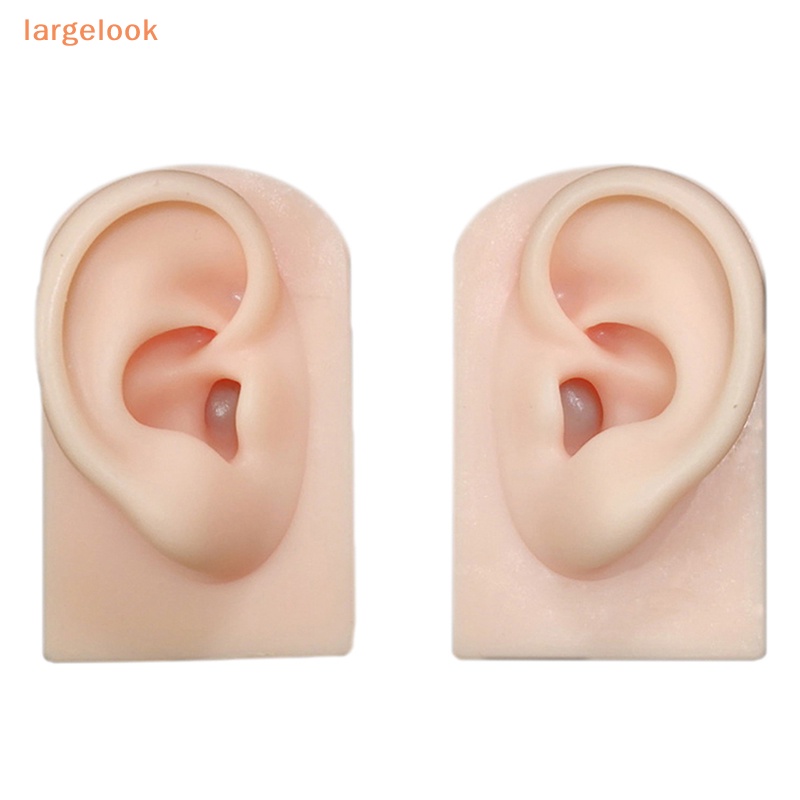 Mô Hình Trưng Bày Bông Tai Bằng Silicone Chuyên Nghiệp