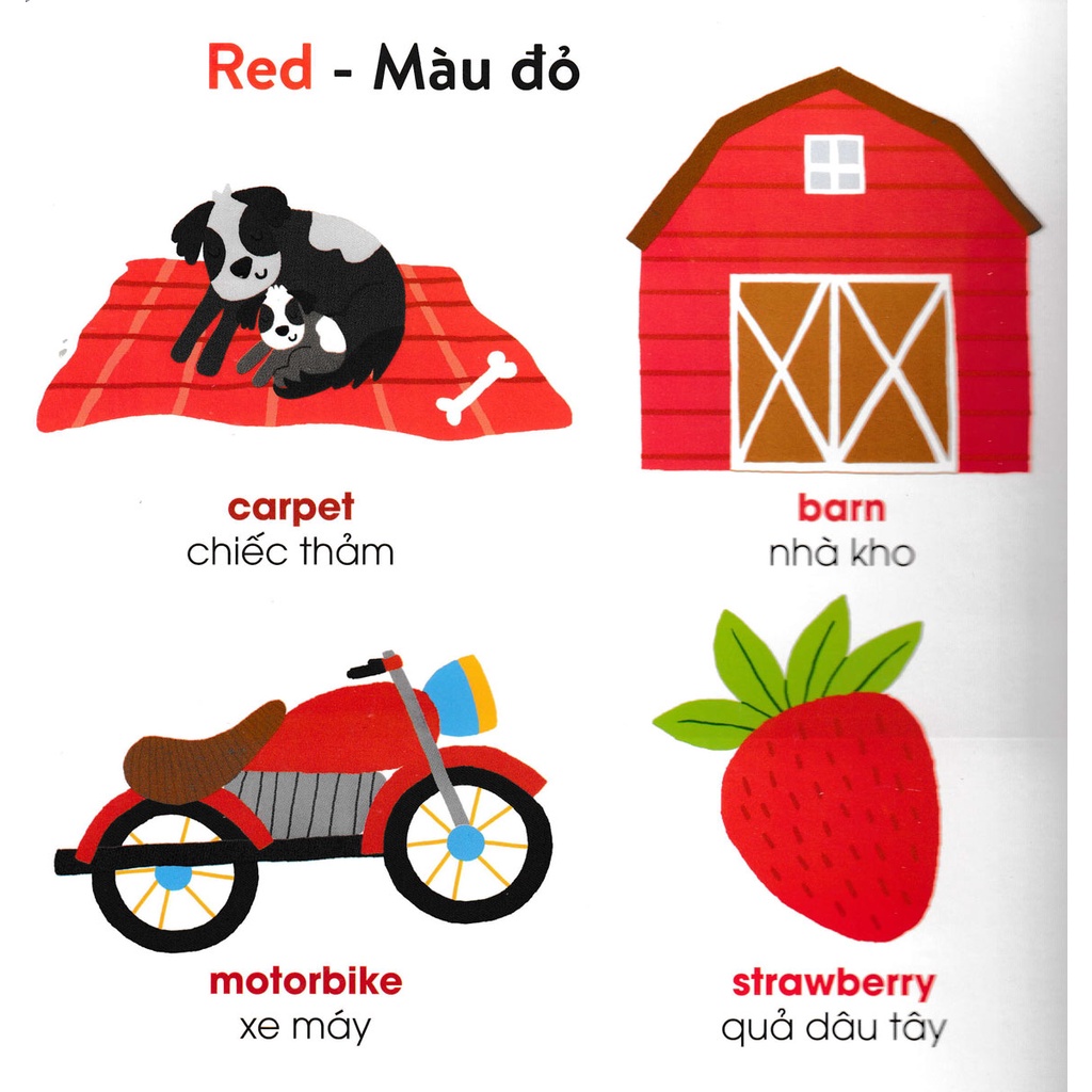 Sách - Bộ Sách Đồ Chơi – Giúp Bé Phát Triển Từ Vựng Và Nhận Biết Màu Sắc: Chuyến Xe Buýt Sắc Màu  - TV