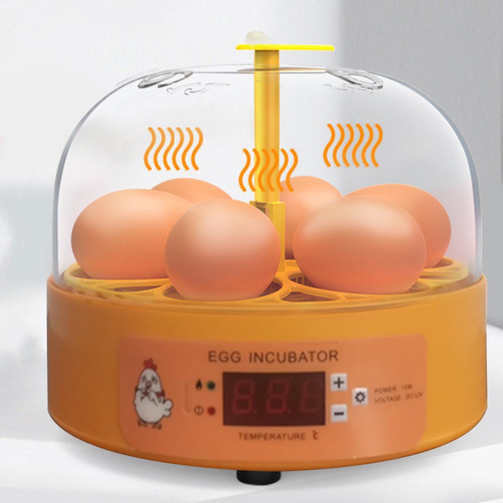 =Christmas=Mini Digital 6 Eggs Incubator Automatic Temperature Brooder Egg Hatcher