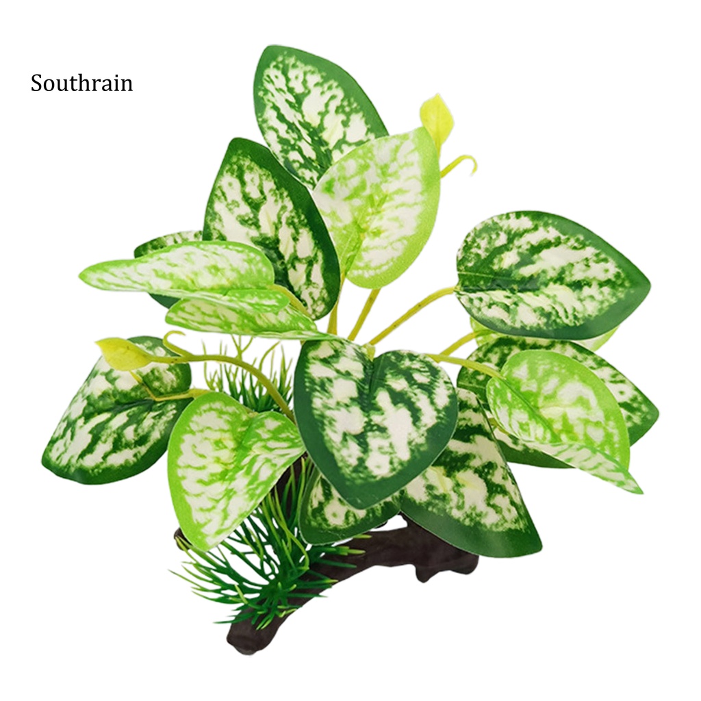 Cỏ NhựA NhiềU KiểU DáNg An ToàN Trang Trí Bể Cá