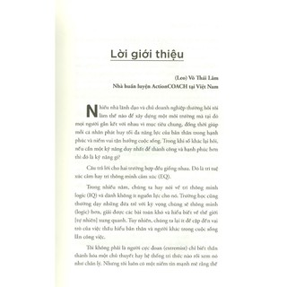 Sách - Trí Tuệ Xúc Cảm (Tái Bản)