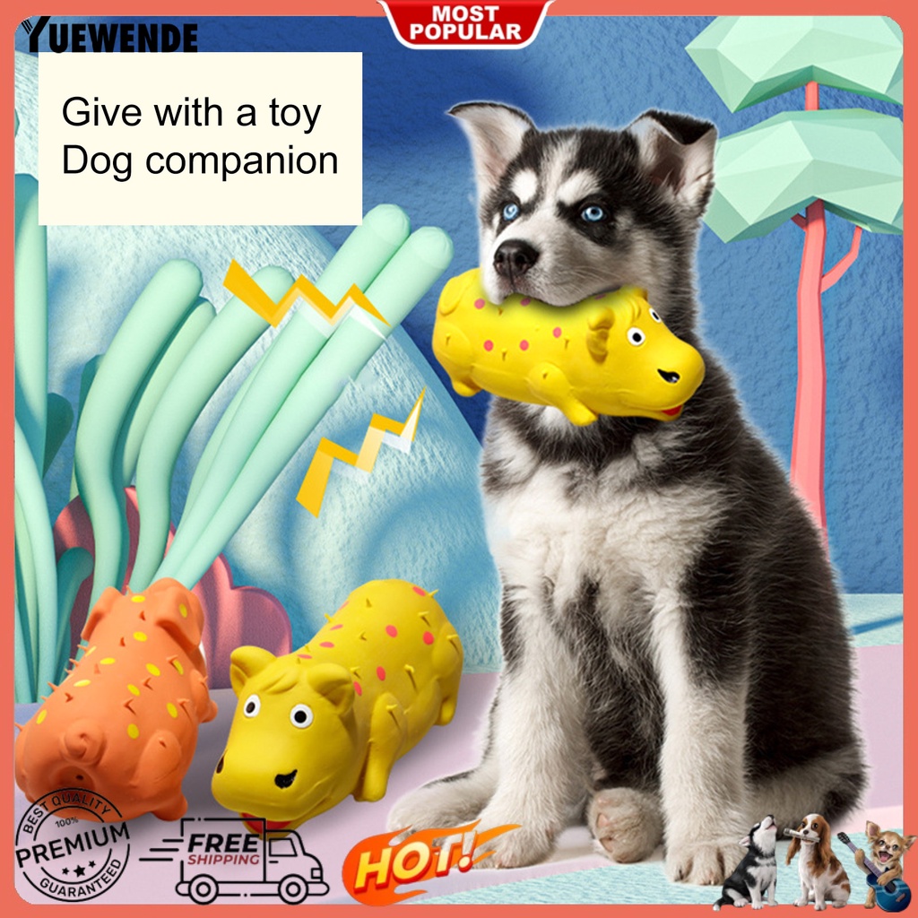 Đồ Chơi Nhai Cắn Chống Cắn Chăm Sóc Răng Miệng Cho Cún Cưng