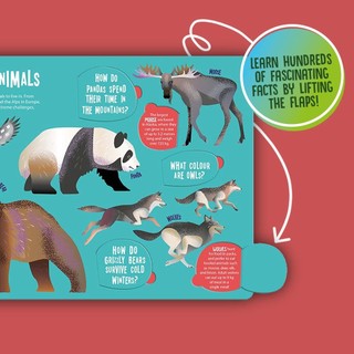 Seek And Find Animals (Seek & Find - Searchlight Books)