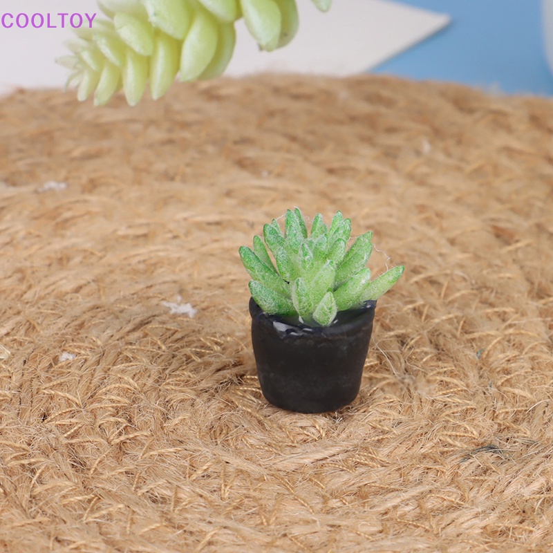 Set 5 Mô Hình Bình Nước COOLTOY Mini Tỉ Lệ 1: 12 Trang Trí Nhà Búp Bê