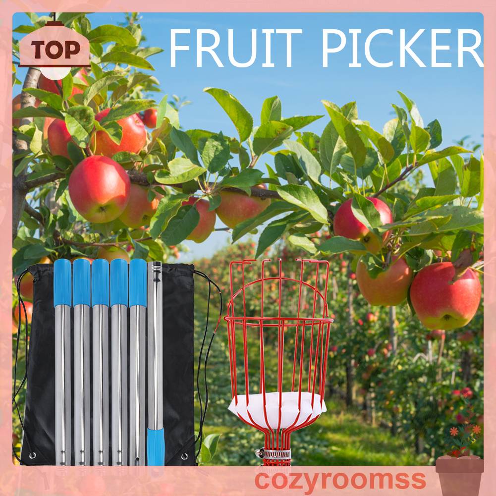 Dụng Cụ Nhặt Trái Cây Bằng Thép Không Gỉ