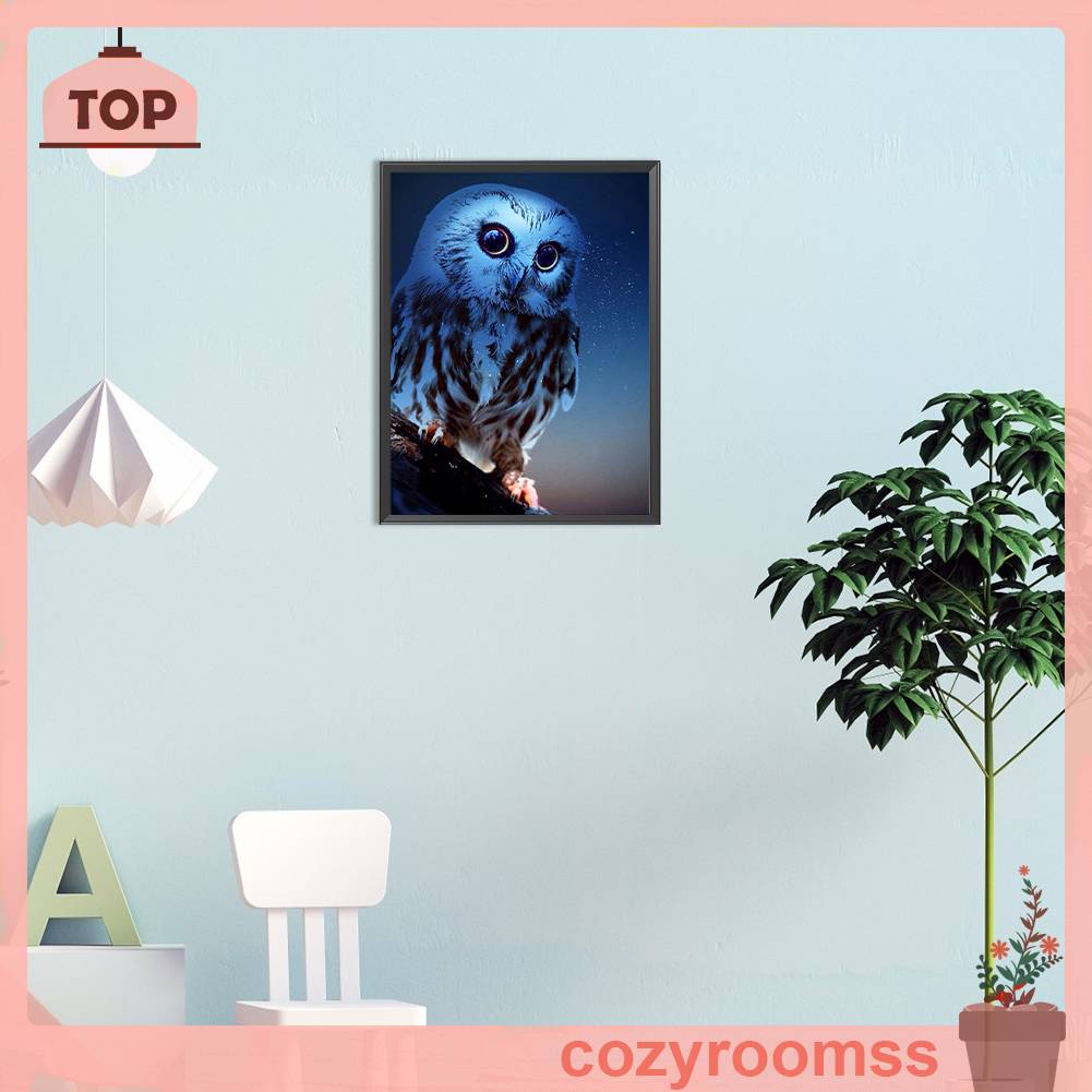 Tranh Đính Đá Kim Cương Toàn Bộ 5D DIY Hình Vẽ Con Cú