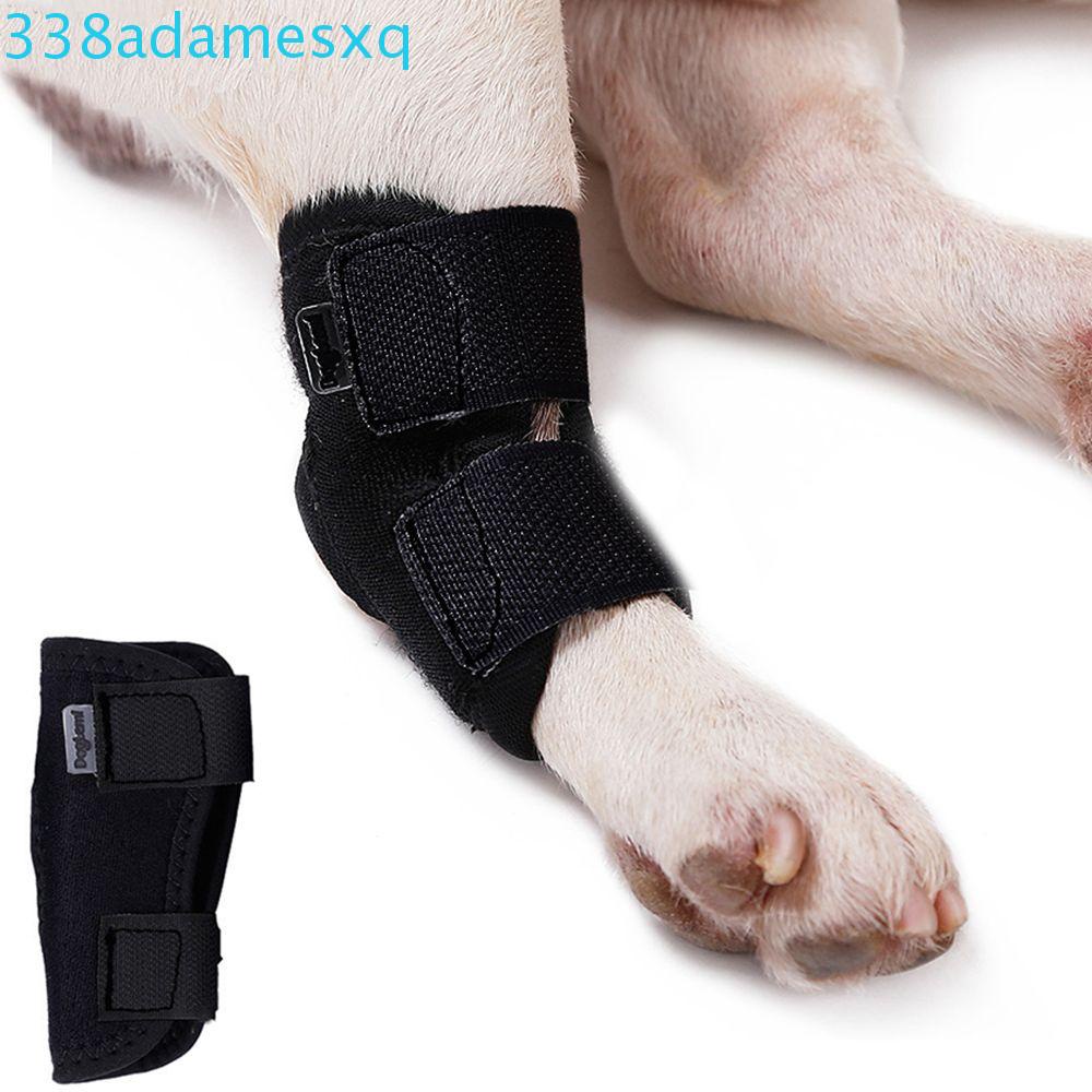ADAMESXQB 1 Băng Quấn Chân Thoáng Khí Hỗ Trợ Cho Chó
