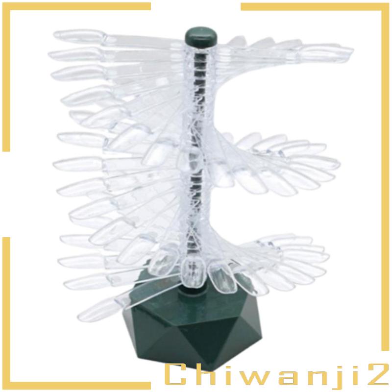 Bộ Dụng Cụ Trưng Bày Móng Tay Có Thể Tháo Rời