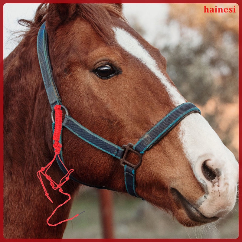 Dây Đeo Cổ Ngựa Bằng Vải Chuyên Dụng