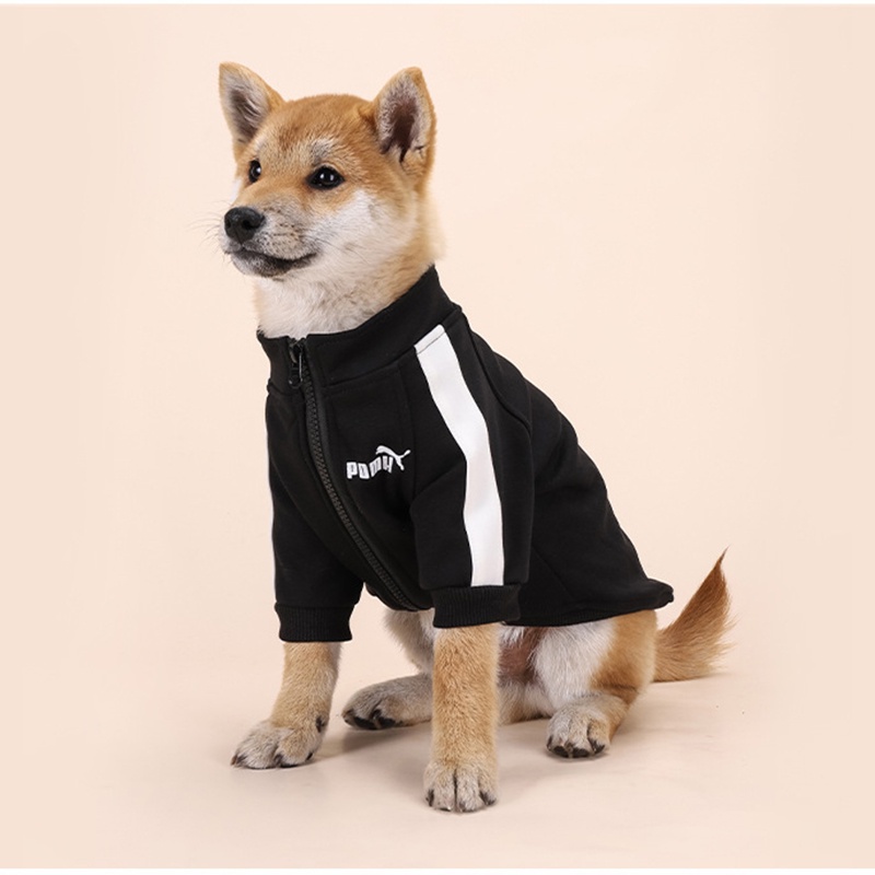 Áo Khoác Bóng Chày Thời Trang Mùa Đông Cho Cún Cưng Cỡ Nhỏ / Vừa / Nhỏ / Chó Bull / Chihuahua