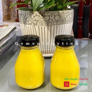 Chai Thuỷ Tinh Vuông LÙN MIỆNG RỘNG Nắp Nhựa 300ML và 500ML ,đựng sữa chua , nước ép , trà lên men