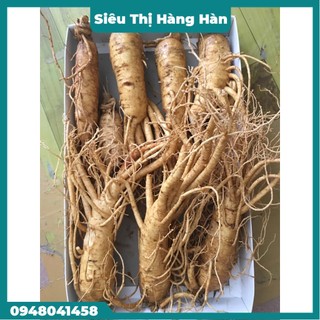Sâm Hàn Quốc 6 năm tuổi; loại 7 Củ/1Kg dùng ngâm mật ong