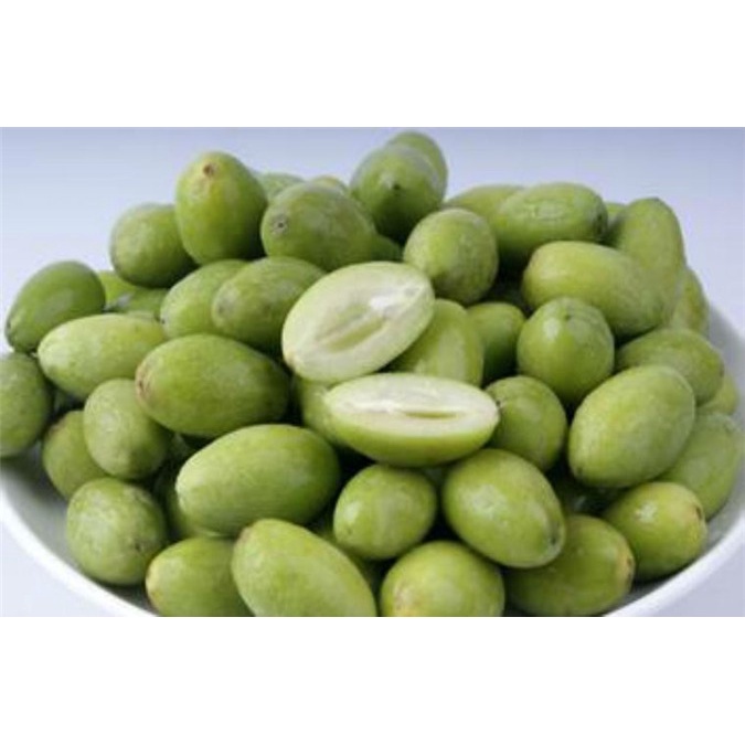 CÂY GIỐNG CÂY TRÁM XANH