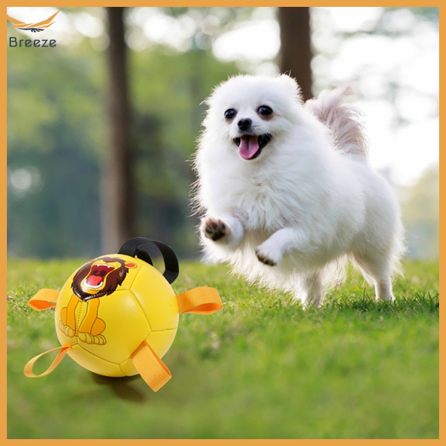 Bóng Đá Đồ Chơi Đa Năng Dành Cho Chó Cỡ Nhỏ / Vừa / Lớn