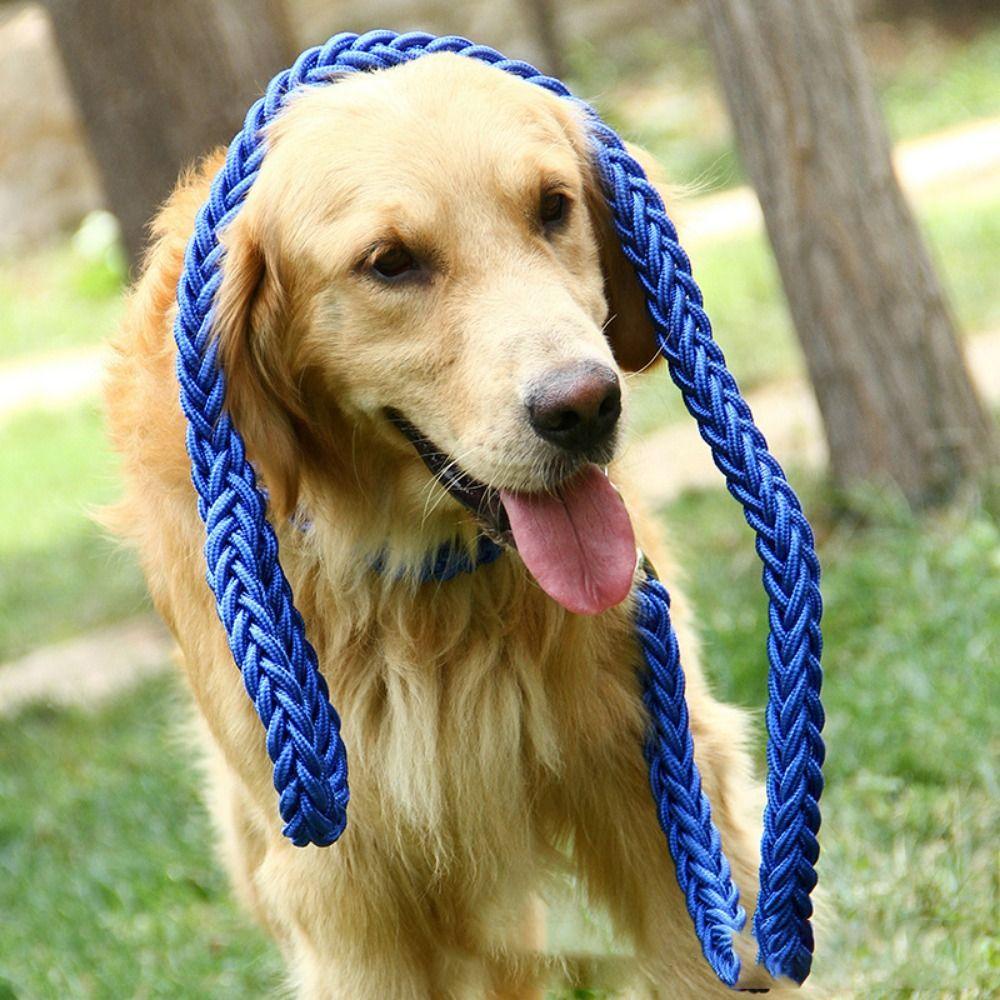 Dây Dắt Thú Cưng Đi Dạo Điều Chỉnh Được 2023