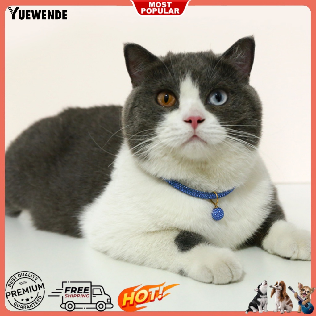 Vòng Cổ Cho Thú Cưng Chó Mèo Kèm Mặt Dây Chuyền