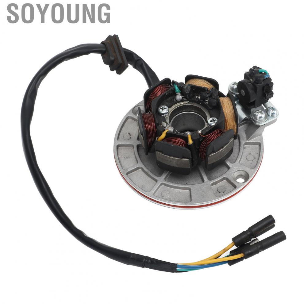 Soyoung Magneto Stator Coil  5 Wire Powerful for 150cc 160cc Kick Start Engine