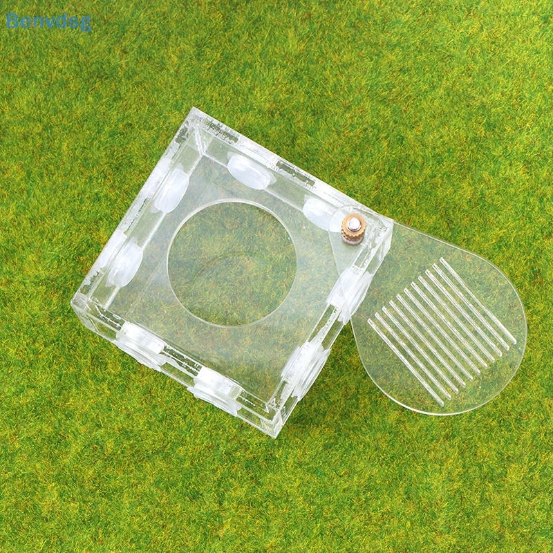 Benvdsg > Phụ Kiện Ống Nghiệm Bằng Acrylic Trong Suốt Độc Đáo DIY