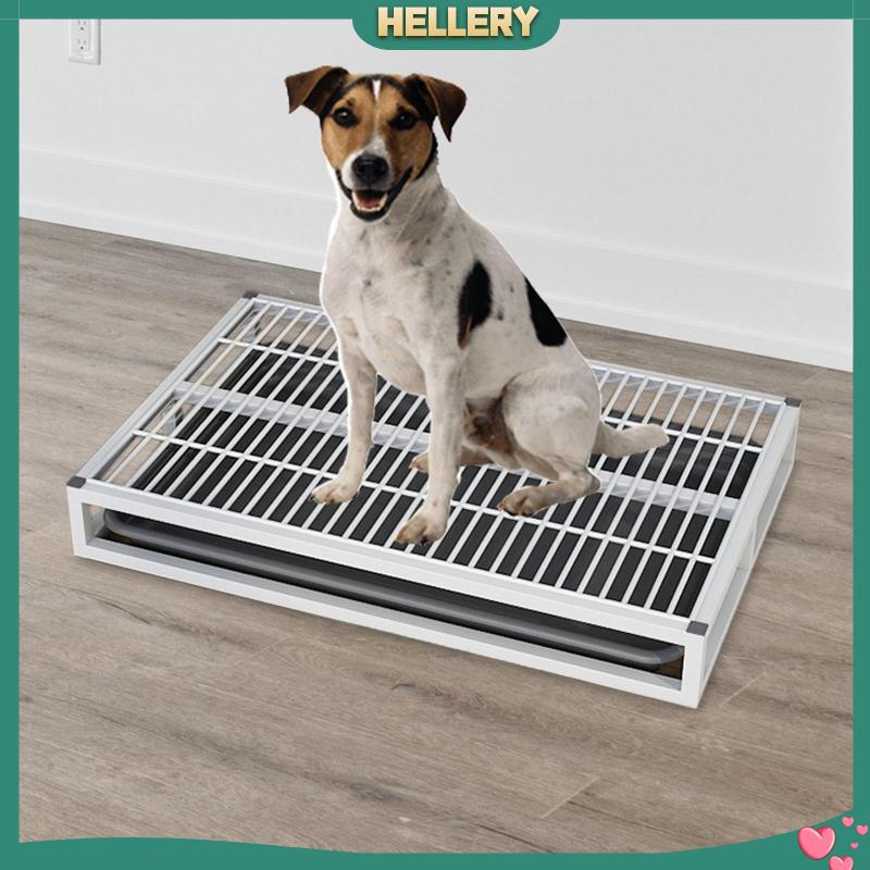 Toilet Huấn Luyện Thú Cưng Đi Vệ Sinh Tái Sử Dụng Tiện Lợi