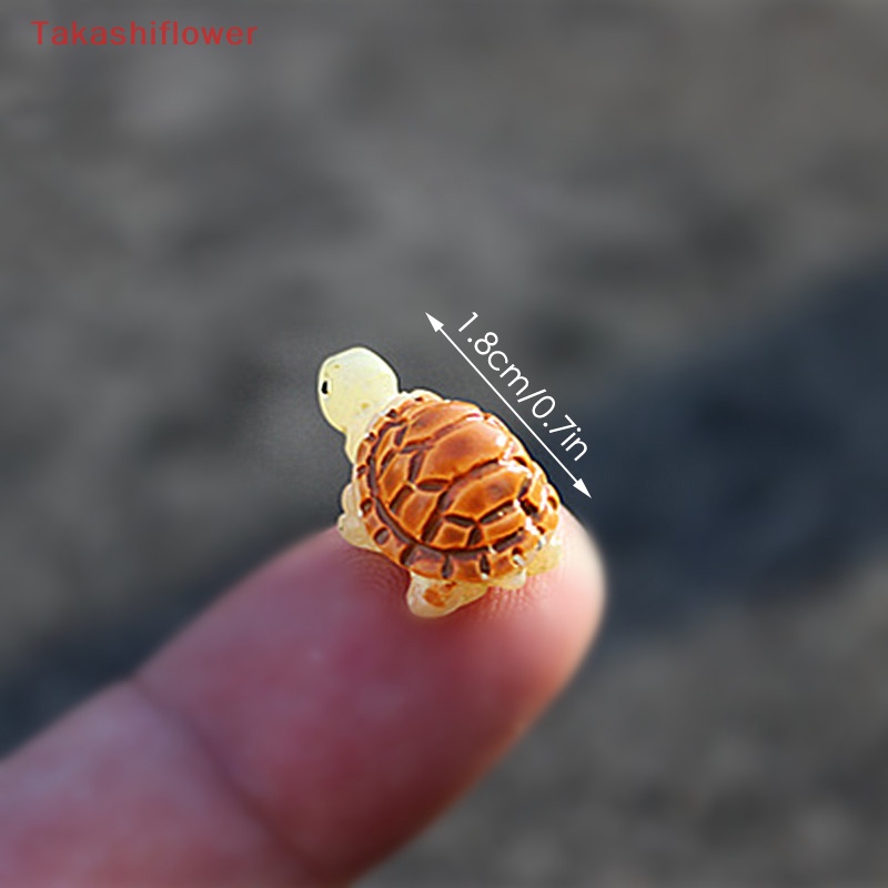 Set 5 Mô Hình Rùa Biển Dùng Để Trang Trí