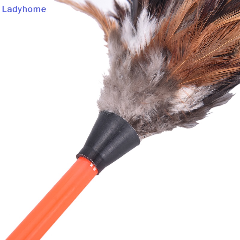 Chổi Lông Gà Quét Bụi 45cm Cán Nhựa