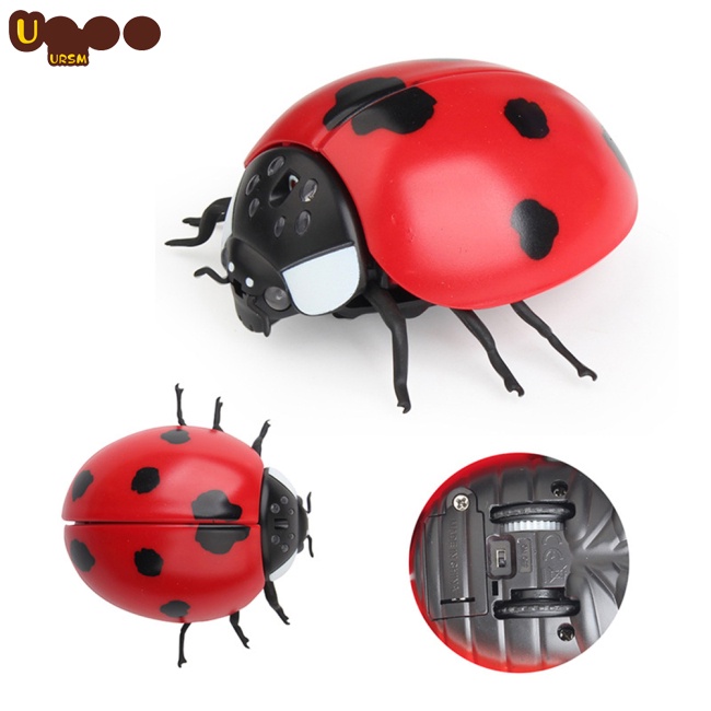 Đồ Chơi Côn Trùng Điện Tử Điều Khiển Từ Xa Hồng Ngoại Hình Halloween Cho Bé