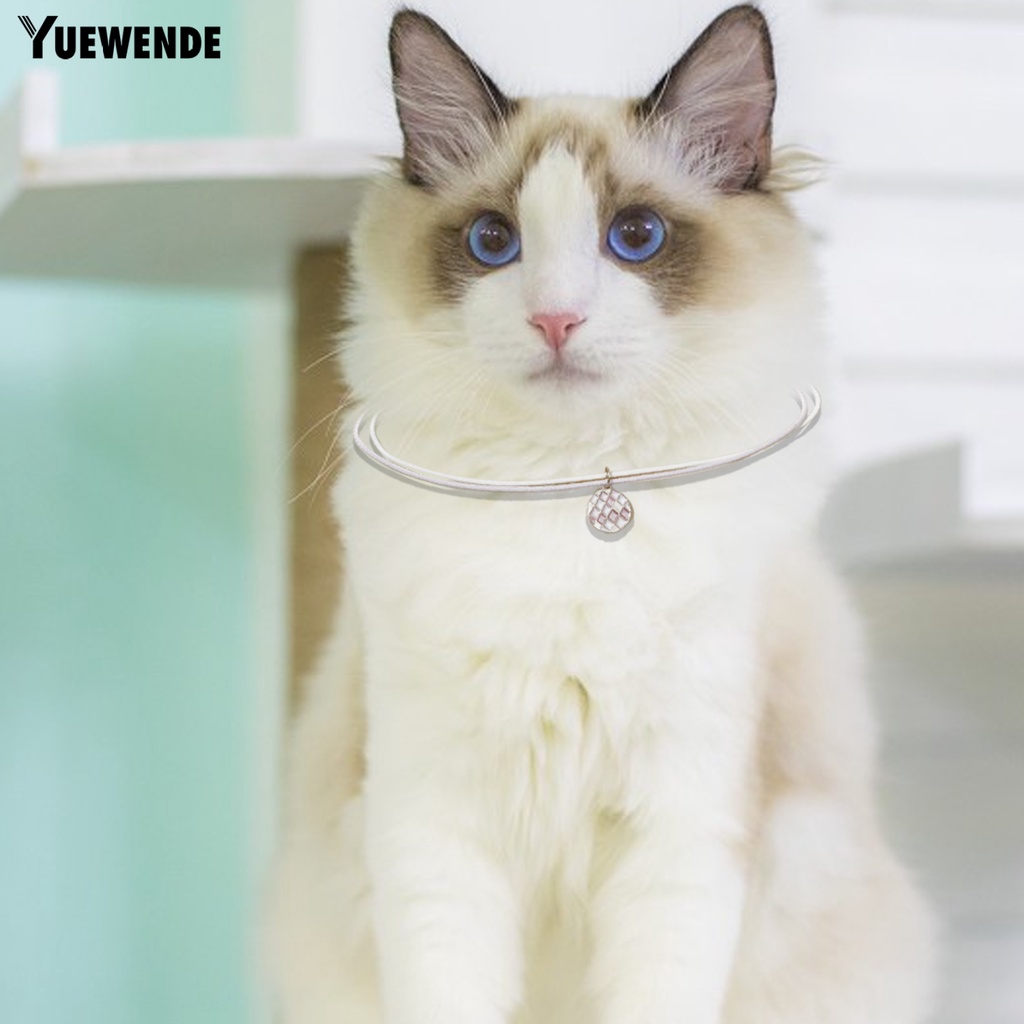 Bộ 2 Vòng Cổ Bằng Hợp Kim Chống Mài Mòn Dùng Chụp Ảnh Cho Thú Cưng