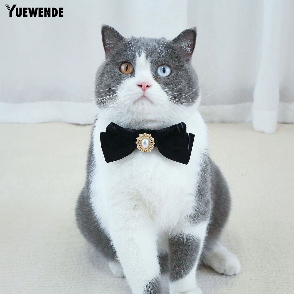 Vòng Cổ Ngọc Trai Giả Chống Sặc Đính Nơ Dễ Thương Cho Thú Cưng