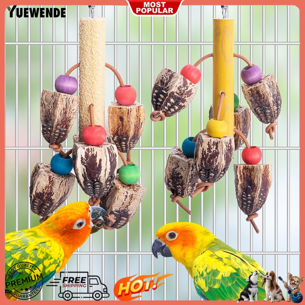 Đồ Chơi Treo Mài Răng Chống Cắn Cho Chim Vẹt Cỡ Vừa Và Vừa