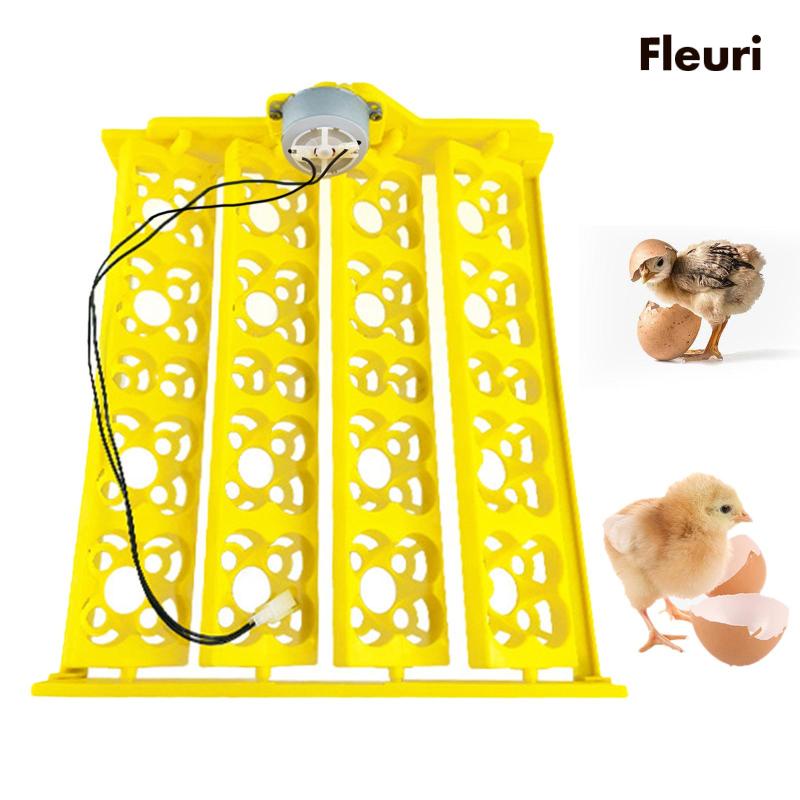 Khay Làm Trứng Gà / Ngỗng Tiện Dụng Chất Lượng Cao