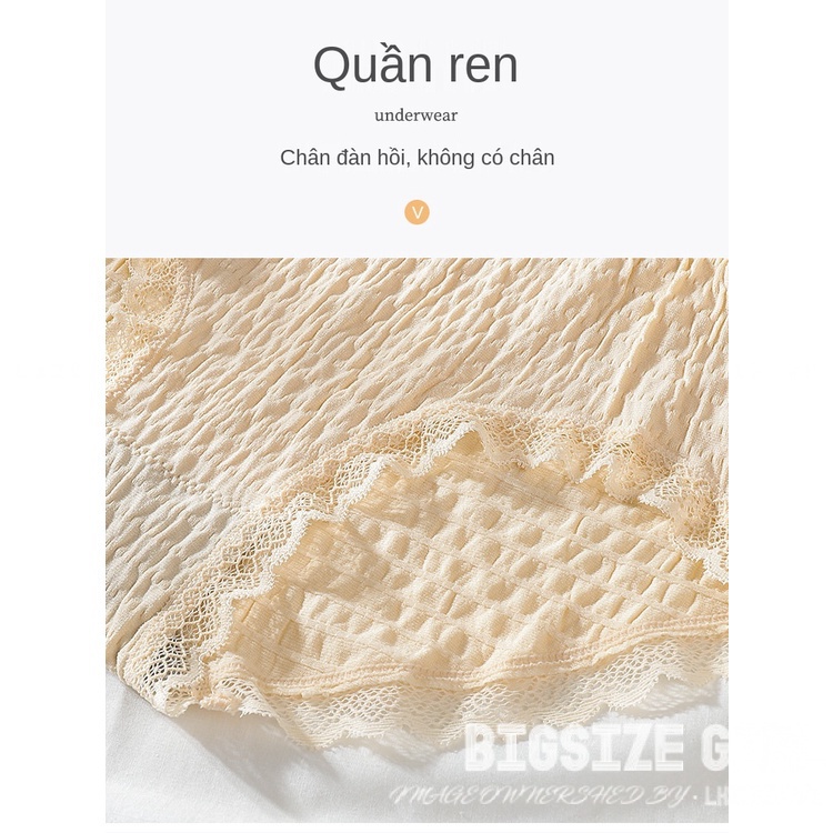Quần lót nữ cotton vải mềm viền ren Bigsize quần chip nữ dễ thương  70kg 80kg 100kg thoáng khí Kháng Khuẩn hút mồ hôi co giãn 4 chiều cao cấp