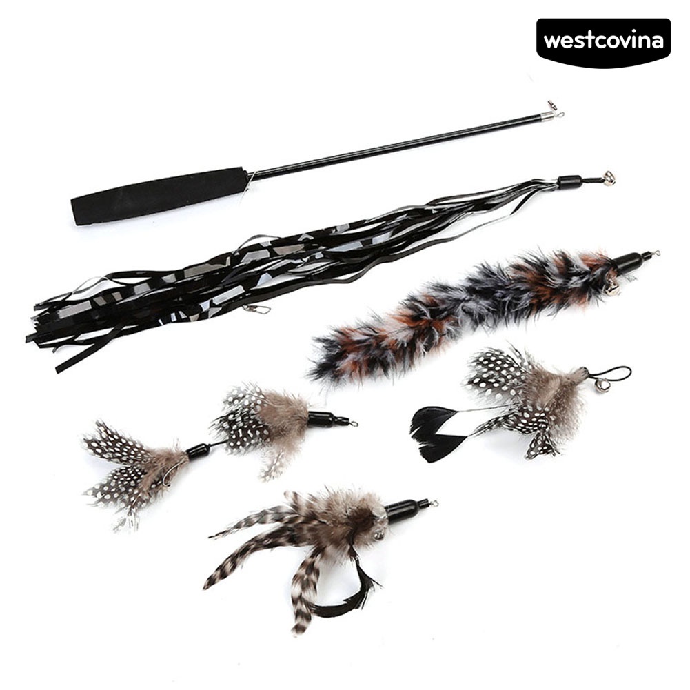 [COD]♞Set 6 Gậy Lông Vũ 3 Khúc Có Thể Thu Gọn Thay Thế Cho Mèo Cưng
