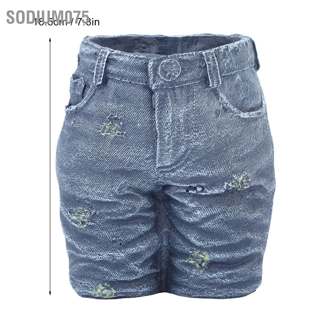 Sodium075 Sáng Tạo Hoa Denim Trang Trí Nồi Quần Áo Cho Vườn Thủ Công