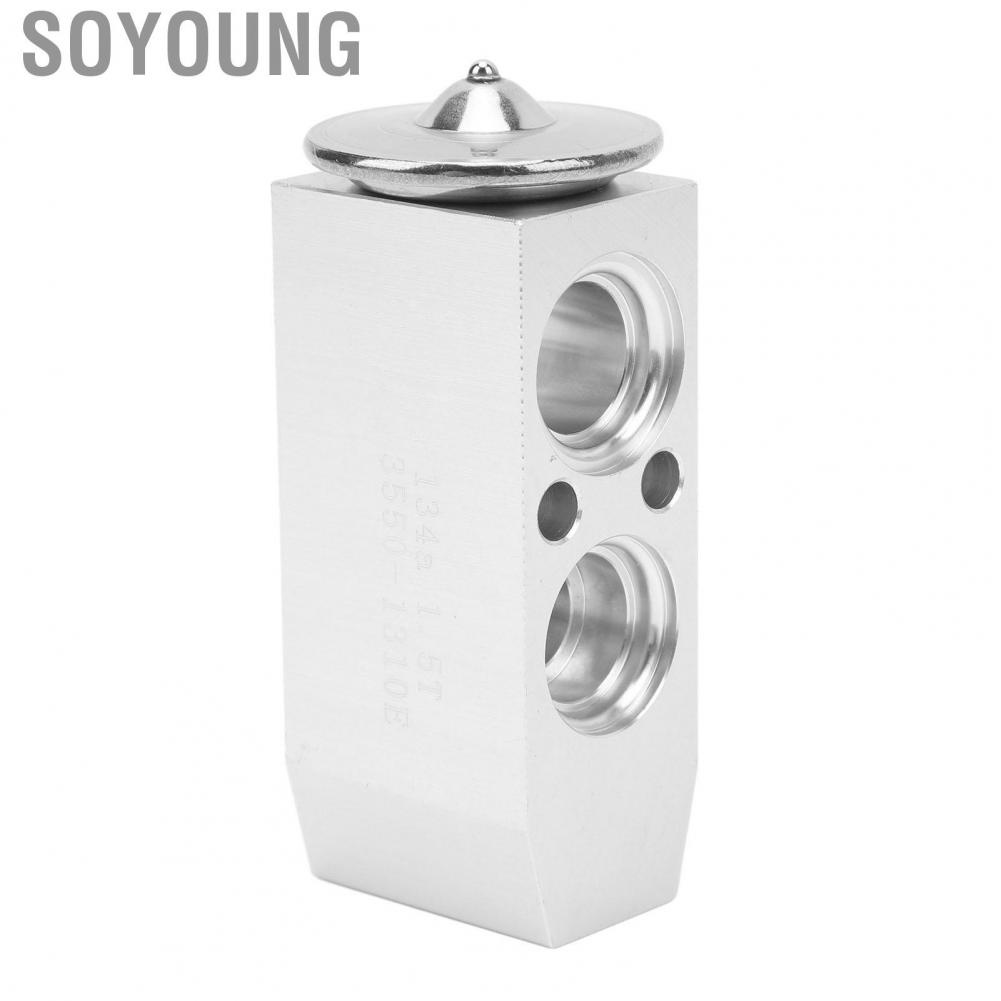 Soyoung 3411868  Reliable Lightweight High Efficiency AC Expansion Valve Front for Cars