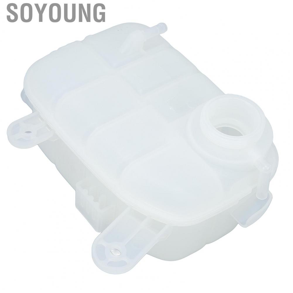 Soyoung Coolant Radiator Expansion Tank Abrasion Resistant High Temp OEM Design ABS Plastic Leak Proof 95380033 for Trax