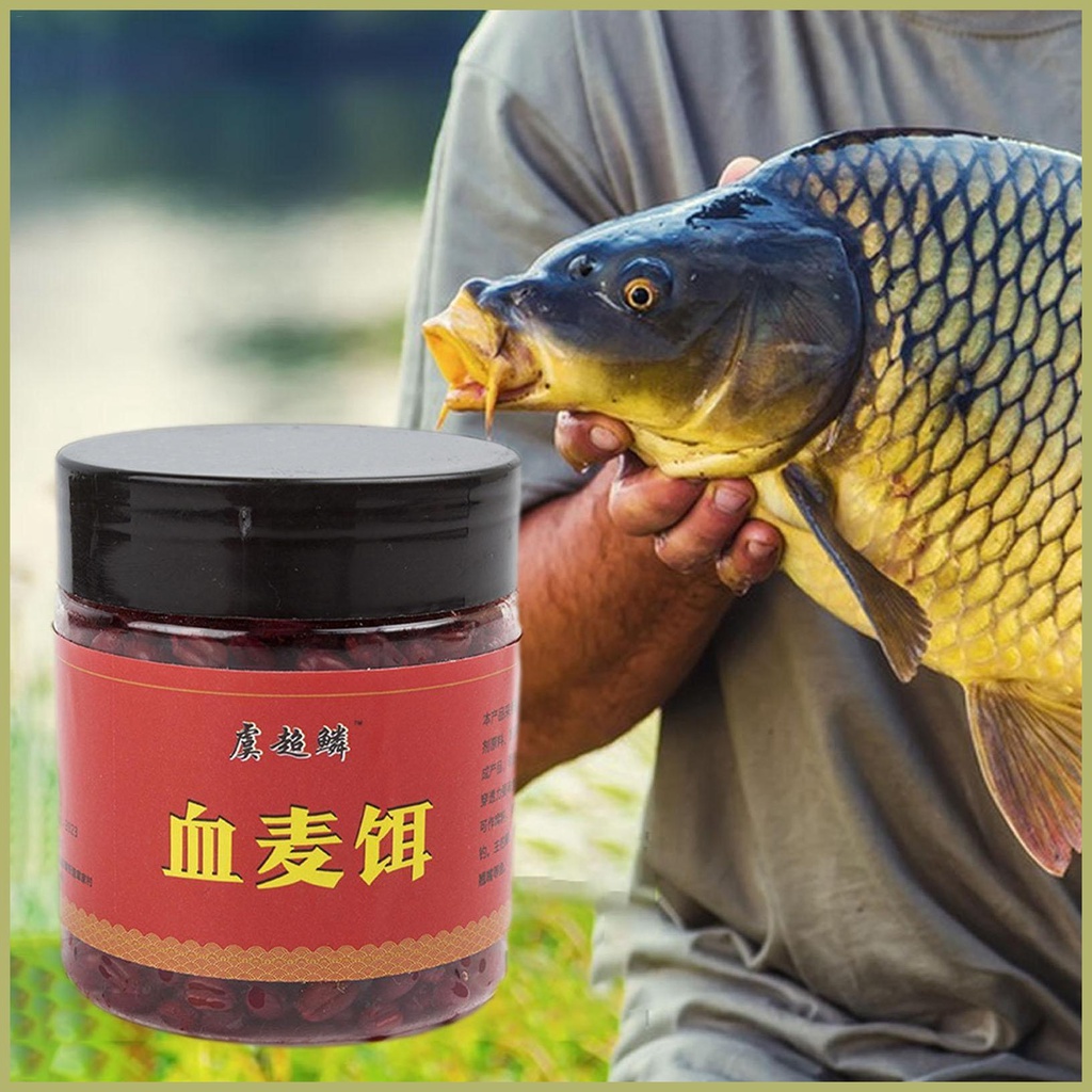 Hộp Lúa Mạch Nhiên Liệu Cho Cá Chép Catfish Trout Cod Bass Bền Dễ Sử Dụng