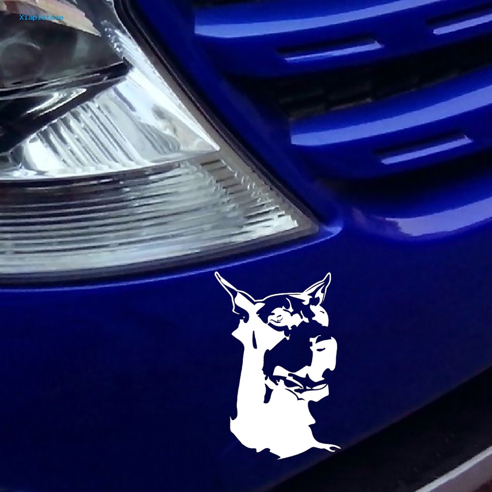 Miếng Dán Trang Trí Xe Hơi / Xe Máy Hình Chú Chó Doberman Độc Đáo