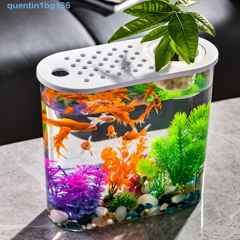 Bể Cá Bằng Nhựa Trong Suốt Chống Vỡ Có Nắp Đậy QUENTIN1BG
